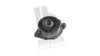 BREDA  LORETT TOA3950 Belt Tensioner, v-ribbed belt